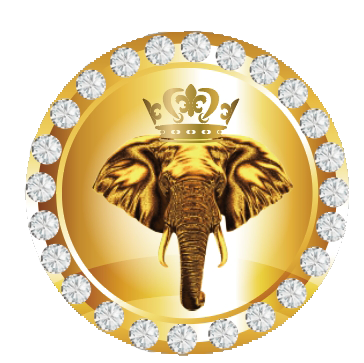 金象生物科技有限公司logo